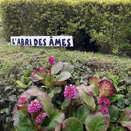 Apartamento L'Abri Des Ames Gerponville Exterior foto