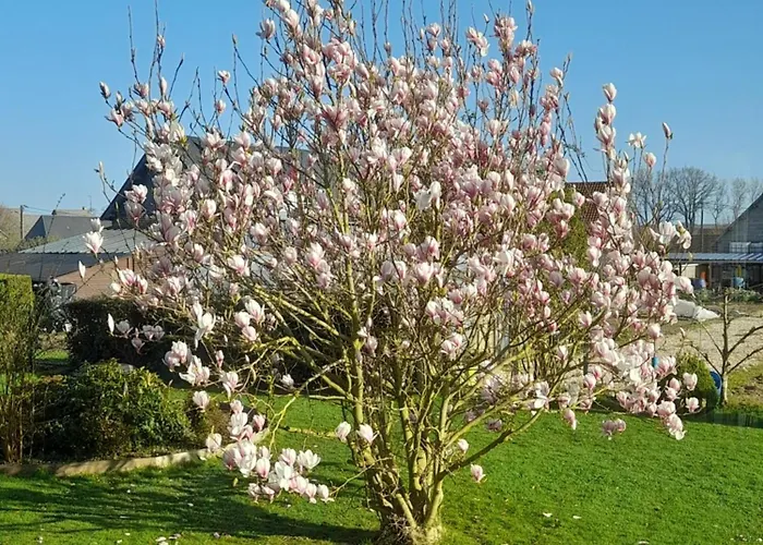 Abri Des Âmes