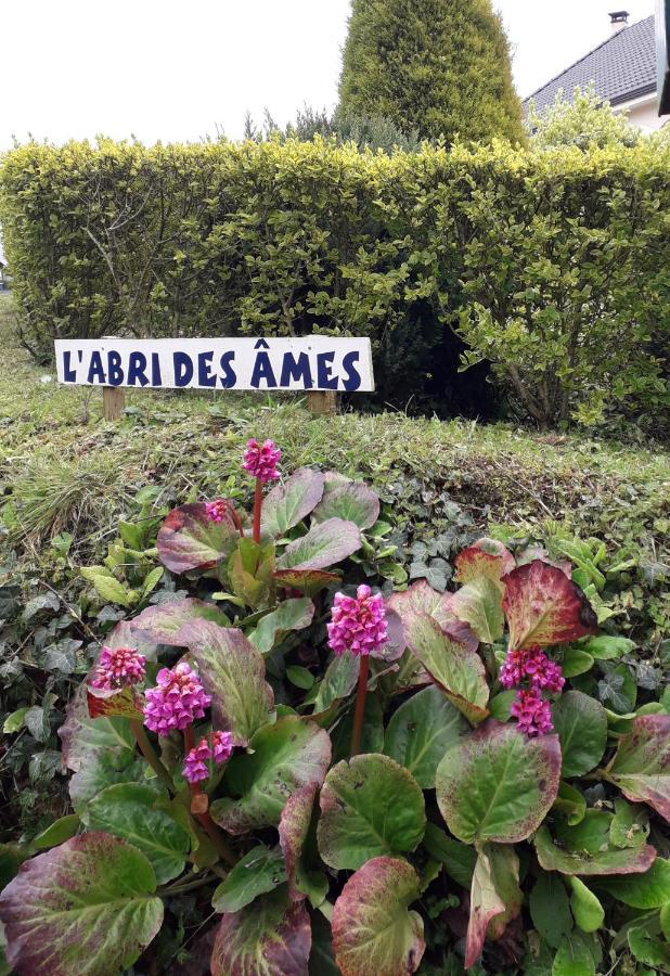 Abri Des âmes *